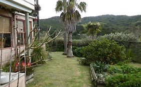 Great Barrier Oasis Lodge